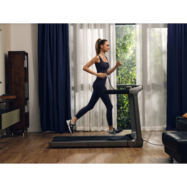 Фото - Беговая дорожка KingSmith WalkingPad Treadmill X218